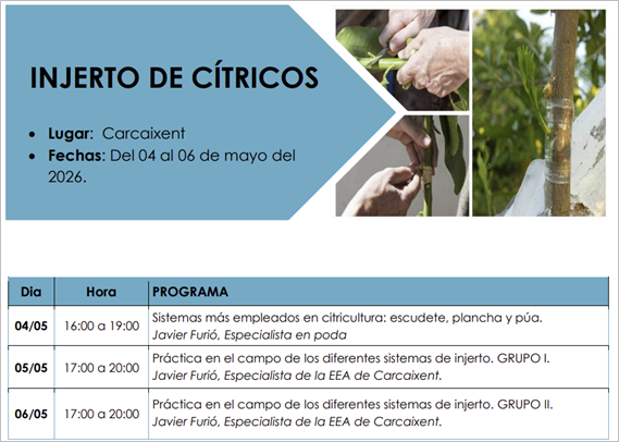 INJERTO DE CÍTRICOS (del 4 al 6 de mayo 2026)